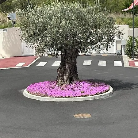 Au Coeur Du Golf, Neuf Vue Golf Et Piscine - Clim Wifi Parking Lejlighed